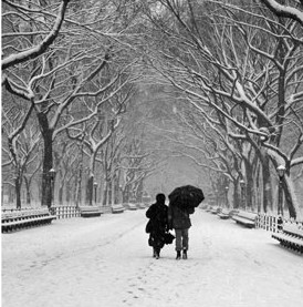 Photo by Steve Linder Winter scene